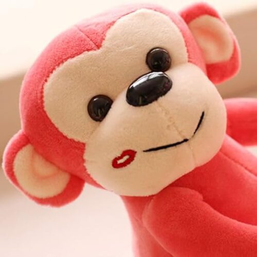 Lovable Monkey Hug Toy2