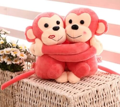 Lovable Monkey Hug Toy3