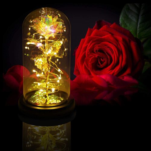 LoveLight Rose4